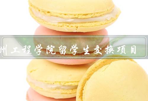 徐州工程学院留学生交换项目，概述／内容／成果