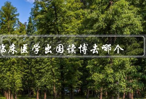 临床医学出国读博去哪个国家，提高学术水平、丰富临床经验