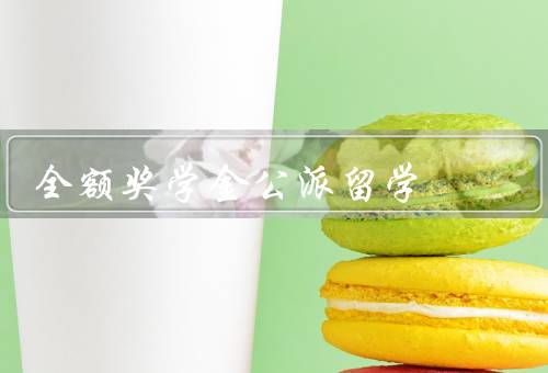 国家全额奖学金公派留学（留学机会、学习经历、国际视野）