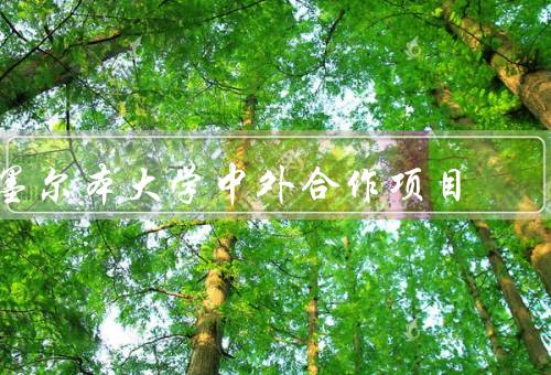 墨尔本大学中外合作项目