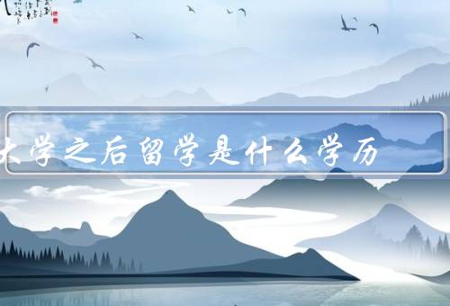 大学之后留学是什么学历，学历／学术经验／结语
