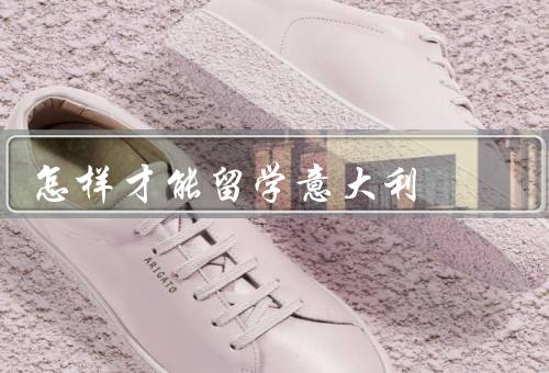 怎样才能留学意大利（意大利教育体系／留学政策和申请流程）