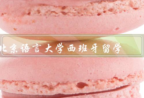 北京语言大学西班牙留学（学习内容、实践机会、就业前景）