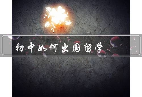 初中如何出国留学