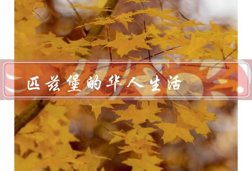 匹兹堡的华人生活（华人社区／华人商业／教育和就业）