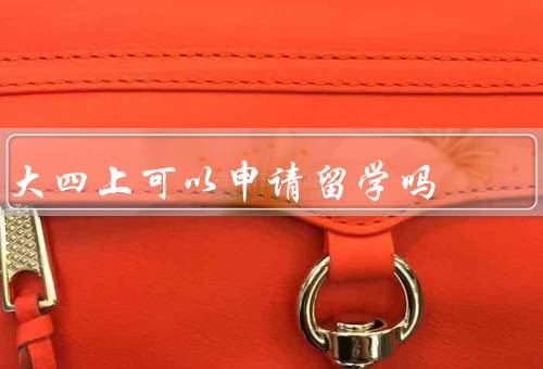 大四上可以申请留学吗（个人条件、申请流程、时间安排）