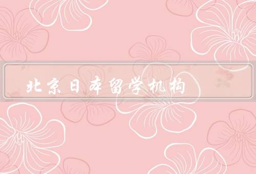 北京日本留学机构（机构背景／一：专业的咨询服务）