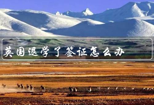 英国退学了签证怎么办，退学后的签证状态、选择合适的解决方案