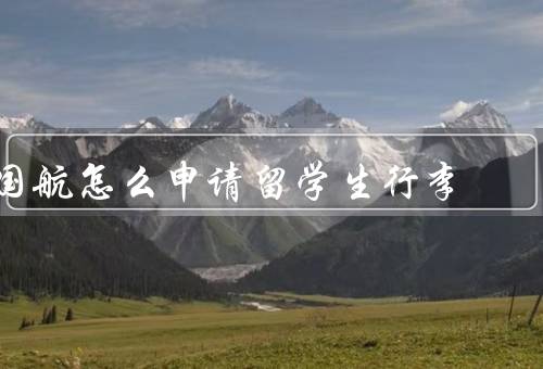 国航怎么申请留学生行李，申请／托运规定／注意事项