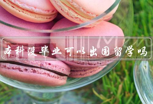 国内本科没毕业可以出国留学吗（留学条件／个人能力／其他因素）