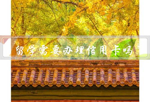 出国留学需要办理信用卡吗，在留学生活中重要性、条件和程序、好处
