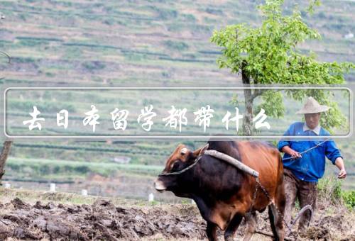 去日本留学都带什么（行李箱、护照和签证、日本学生卡）