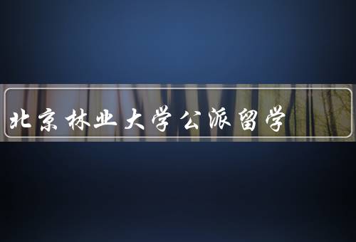 北京林业大学公派留学（背景／内容／效果）