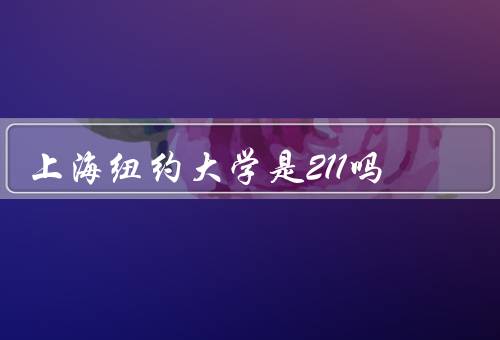 上海纽约大学是211吗，师资力量／课程设置／国际化办学