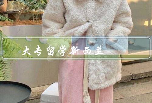 大专留学新西兰，优势、流程、经验