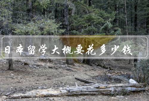 去日本留学大概要花多少钱