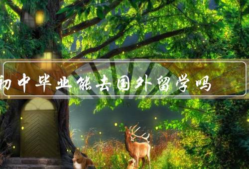 初中毕业能去国外留学吗（学历要求／家庭经济／个人发展）