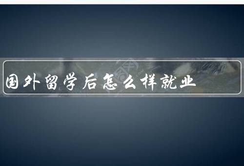 国外留学后怎么样就业，专业对口／实习经验／语言能力