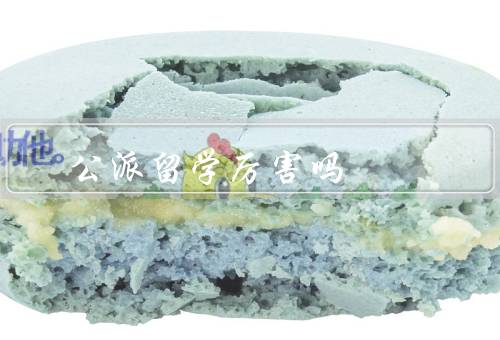 公派留学厉害吗（拓宽视野／增强国际竞争力／提供更好的学习条件）