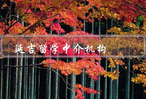 延吉留学中介机构，专业指导、文书编辑、后期服务
