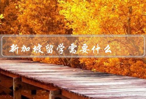 新加坡留学需要什么（申请学生签证、语言要求、经济资助）