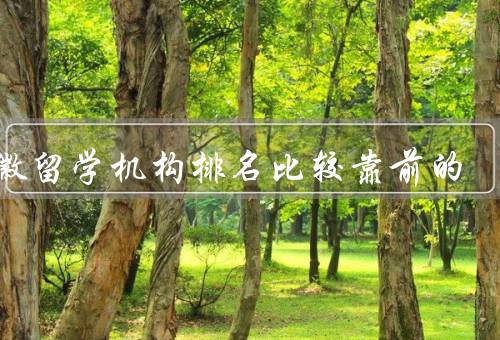 安徽留学机构排名比较靠前的，新东方留学、安徽留学教育中心