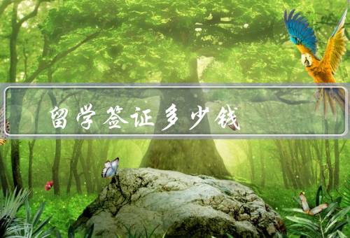 留学签证多少钱，签证申请费／健康体检费／保险费