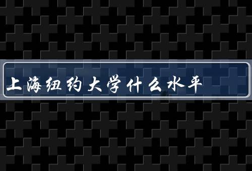 上海纽约大学什么水平，教学水平／学术资源／国际化程度