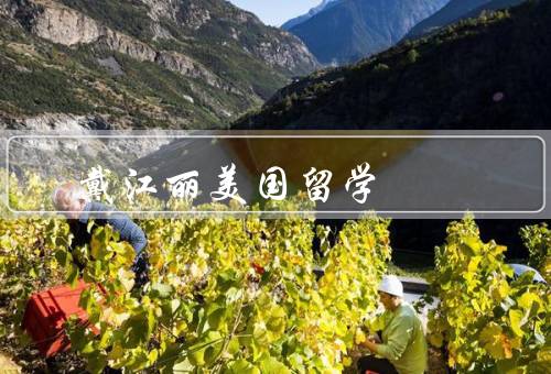 戴江丽美国留学，留学目的／挑战与成长／学业成果
