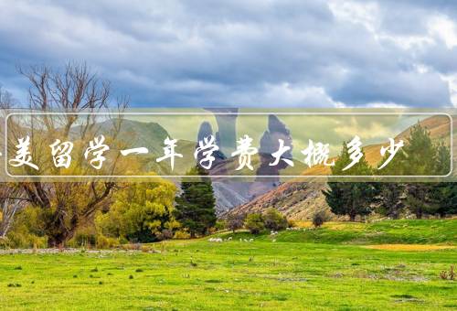 去美留学一年学费大概多少（学费、生活费、其他费用）
