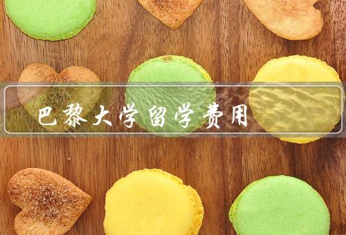 巴黎大学留学费用（巴黎大学的学费、生活费用、奖学金和助学金）