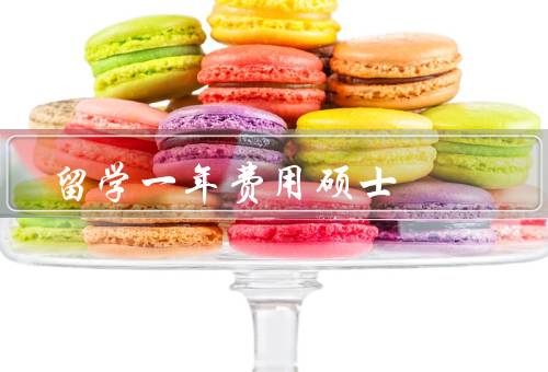俄罗斯留学一年费用硕士，留学费用概述／奖学金和助学金