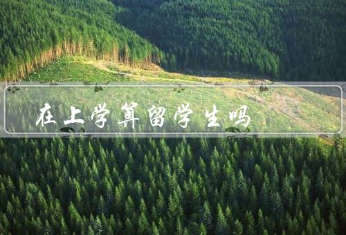 在澳门上学算留学生吗，体系、是否算留学生、优势和学习条件