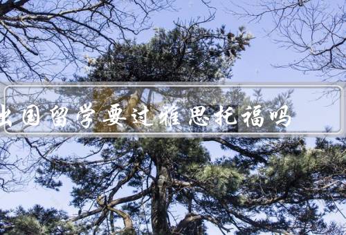 出国留学要过雅思托福吗，留学需要过雅思托福吗