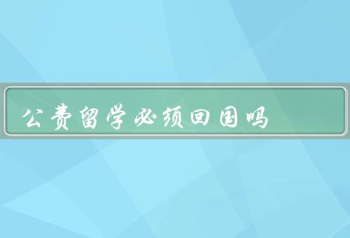 公费留学必须回国吗，公费留学的回国义务、回国的困难与挑战