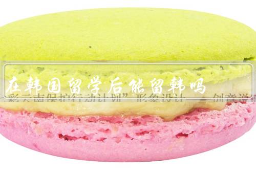 在韩国留学后能留韩吗