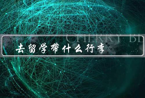 去俄罗斯留学带什么行李，必备文件、衣物和生活用品