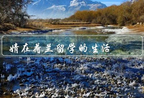 婧在荷兰留学的生活（学习生活／生活方式／文化体验）