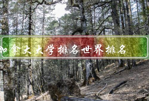 加拿大大学排名世界排名（教学质量和研究实力受到国际认可）