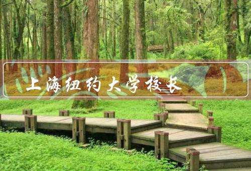 上海纽约大学校长，职责、作用、能力要求
