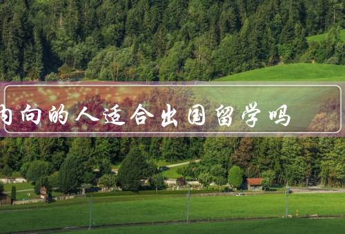 内向的人适合出国留学吗，适应能力强、善于独立思考