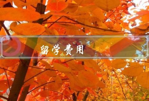东南亚国家留学费用（学费、生活费、奖学金）