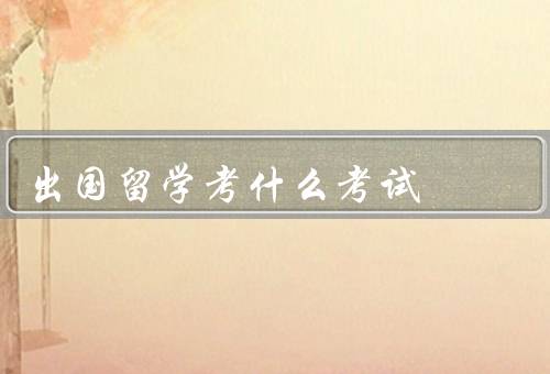 出国留学考什么考试，留学语言考试／学术水平考试／专业资格考试