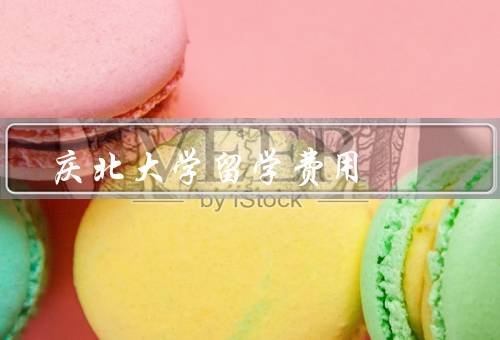 庆北大学留学费用，留学费用／奖学金和助学金／经济适应能力