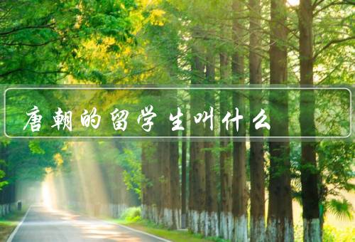 唐朝的留学生叫什么（称呼、背景、活动）