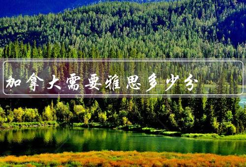 加拿大移民需要雅思多少分（移民类别和雅思分数）