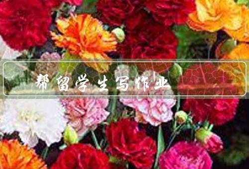 帮留学生写作业（合理引导／资源／指导）