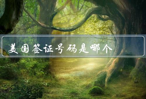 美国签证号码是哪个（美国签证号码／签证号码的意义）
