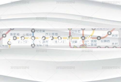 不能留学美国的大学（经济原因、签证限制、文化差异）