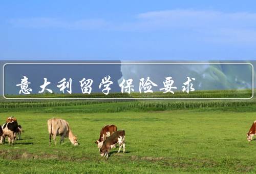 意大利留学保险要求